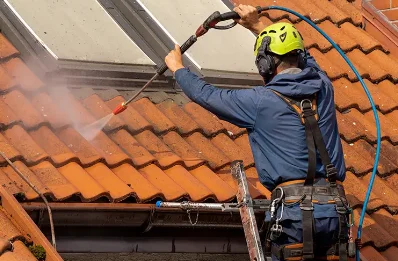 Démoussage et hydrofuge de toiture à Bréançon